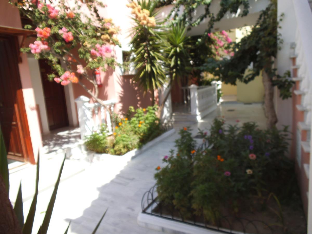 Alkyon Hotel Kokkari Exteriér fotografie